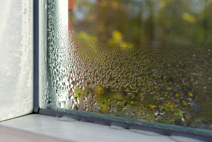 Humidity on window.