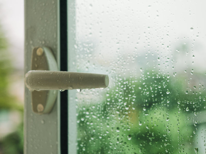 Humidity on Door